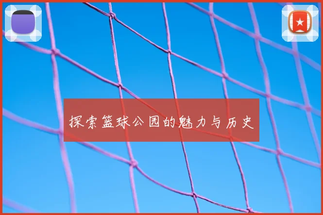 探索篮球公园的魅力与历史