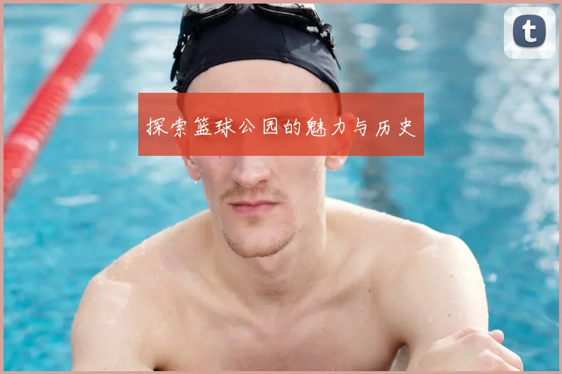 探索篮球公园的魅力与历史